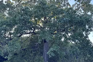 Tbd Whisper Ln, Georgetown, TX 78628 - Photo 17