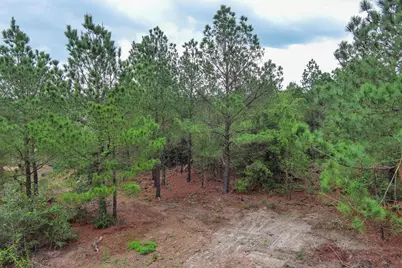 172 Kelley Road, Bastrop, TX 78602 - Photo 15