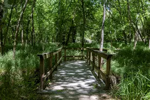 326 Tahitian Dr, Bastrop, TX 78602 - Photo 33