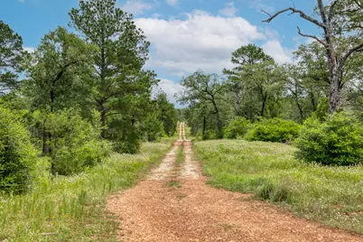 Tbd Pathfinders Way, Smithville, TX 78957 - Photo 7