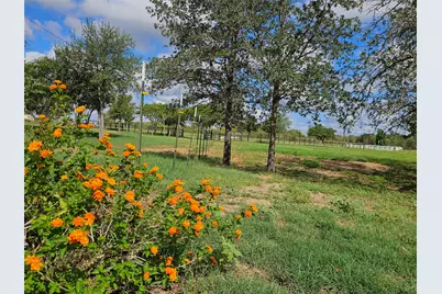 479 Mesquite Drive, Cedar Creek, TX 78612 - Photo 25