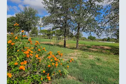 479 Mesquite Drive, Cedar Creek, TX 78612 - Photo 25