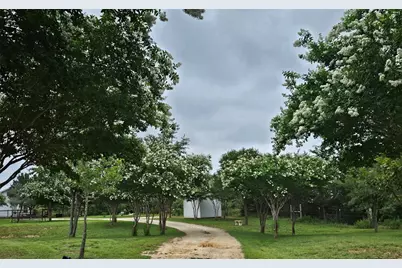 479 Mesquite Drive, Cedar Creek, TX 78612 - Photo 31