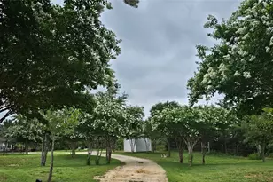 479 Mesquite Dr, Cedar Creek, TX 78612 - Photo 31