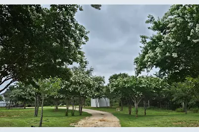 479 Mesquite Drive, Cedar Creek, TX 78612 - Photo 31