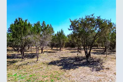120 Blessing Ranch Road, Liberty Hill, TX 78642 - Photo 7