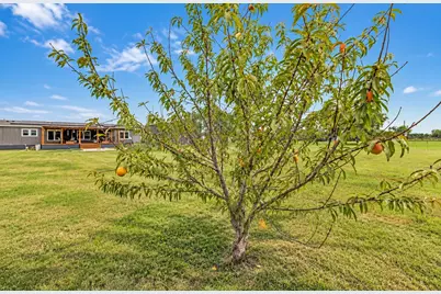 213 River Front Drive, Cedar Creek, TX 78612 - Photo 27