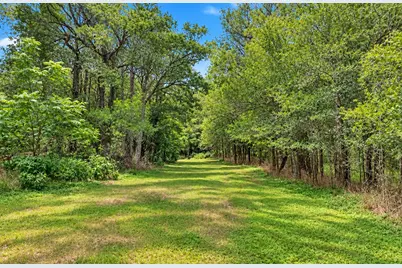 213 River Front Drive, Cedar Creek, TX 78612 - Photo 29