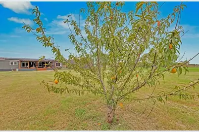 213 River Front Drive, Cedar Creek, TX 78612 - Photo 23