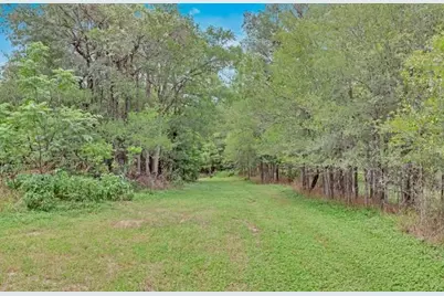 213 River Front Drive, Cedar Creek, TX 78612 - Photo 31