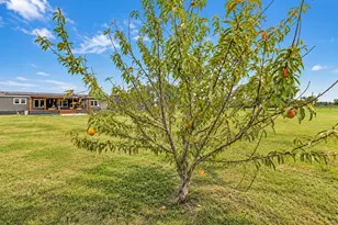 213 River Front Dr, Cedar Creek, TX 78612 - Photo 27