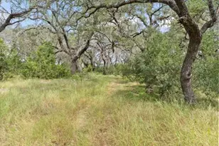 1019 Fm 3509, Burnet, TX 78611 - Photo 19