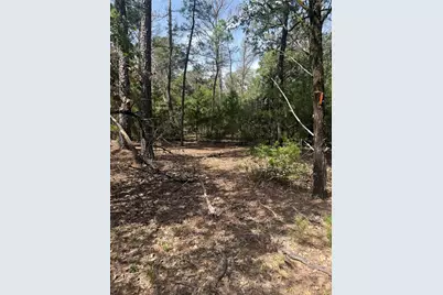 Lot 1252 Tba Hanauma Drive, Bastrop, TX 78602 - Photo 3