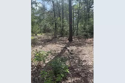 Lot 1252 Tba Hanauma Drive, Bastrop, TX 78602 - Photo 9