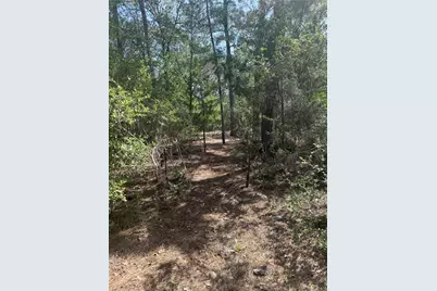 Lot 1252 Tba Hanauma Drive, Bastrop, TX 78602 - Photo 7