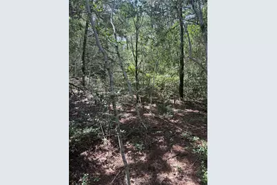 Lot 1252 Tba Hanauma Drive, Bastrop, TX 78602 - Photo 11