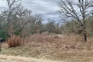 Tbd Peace Pipe/Buffalo Run Run, Smithville, TX 78957 - Photo 1