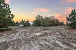 364 Ponderosa Loop, Paige, TX 78659 - Photo 25