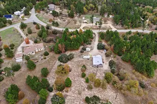 364 Ponderosa Loop, Paige, TX 78659 - Photo 29