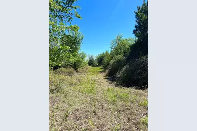 2654 County Road 329, Lincoln, TX 78948 - Photo 21
