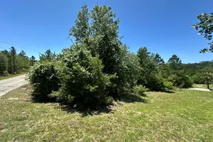 000 Manawianui Dr, Bastrop, TX 78602 - Photo 1