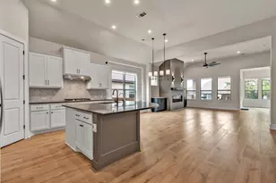 1305 Texas Ash Ln, Georgetown, TX 78628 - Photo 9