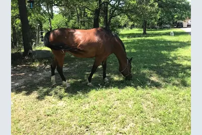 298 Jenkins. Road, Cedar Creek, TX 78612 - Photo 3