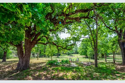 298 Jenkins. Road, Cedar Creek, TX 78612 - Photo 15