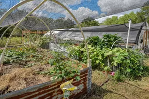 1114 Spotted Horse Trail, Dale, TX 78616 - Photo 3