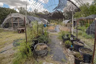 1114 Spotted Horse Trail, Dale, TX 78616 - Photo 33