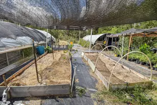 1114 Spotted Horse Trail, Dale, TX 78616 - Photo 35