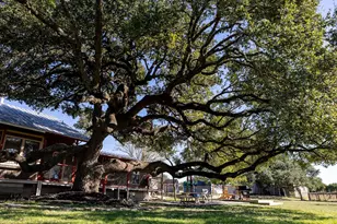 1901 Harmon Hills Rd, Dripping Springs, TX 78620 - Photo 1