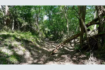 1703 Post Oak Road, La Grange, TX 78945 - Photo 11
