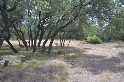 270 Gant Road, Dripping Springs, TX 78620 - Photo 3