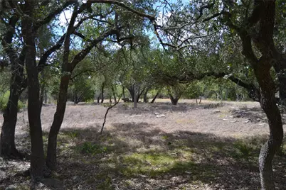 270 Gant Road, Dripping Springs, TX 78620 - Photo 7