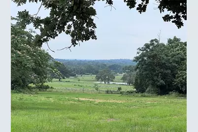 00 Rosanky Cattle Company Road, Rosanky, TX 78953 - Photo 7