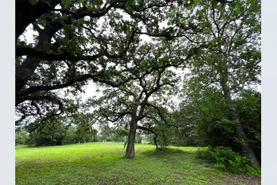 00 Rosanky Cattle Company Road, Rosanky, TX 78953 - Photo 15