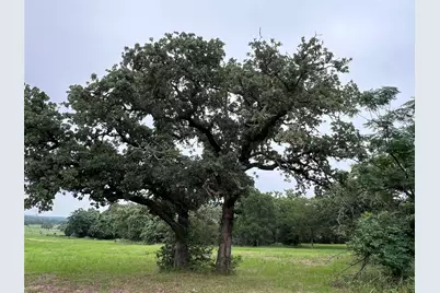 00 Rosanky Cattle Company Road, Rosanky, TX 78953 - Photo 5