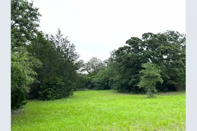 00 Rosanky Cattle Company Road, Rosanky, TX 78953 - Photo 19