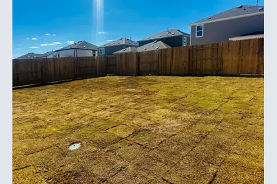 153 Jans Way, Hutto, TX 78626 - Photo 31