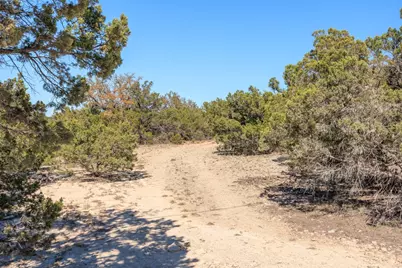 221 Ranch House Road, Wimberley, TX 78676 - Photo 9