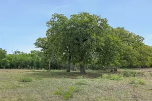 9765 State Park Rd, Lockhart, TX 78644 - Photo 33