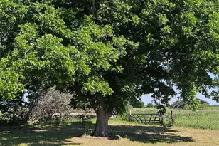 5081 FM973, Taylor, TX 76574 - Photo 27