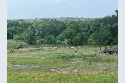 702 Paint Creek Road, McDade, TX 78650 - Photo 1