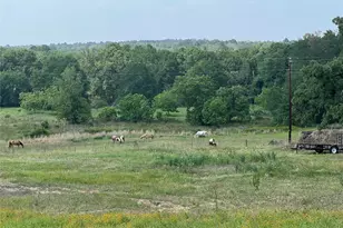 702 Paint Creek Rd, McDade, TX 78650 - Photo 1