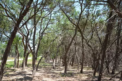 Tbd Lot 17-B Deer Run, Wimberley, TX 78676 - Photo 11