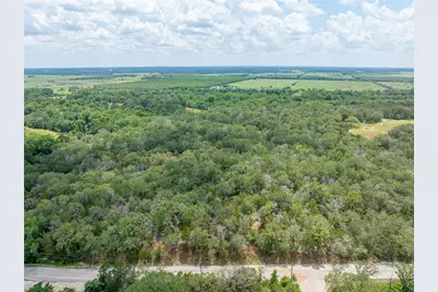 169 Kaaawa Lane, Bastrop, TX 78602 - Photo 15