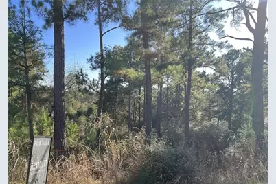 Tbd Wahane, Bastrop, TX 78602 - Photo 3