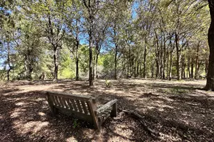 353 Littig Rd, Elgin, TX 78621 - Photo 1