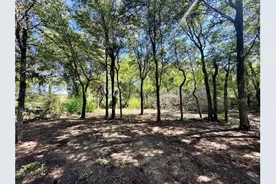 353 Littig Road, Elgin, TX 78621 - Photo 13